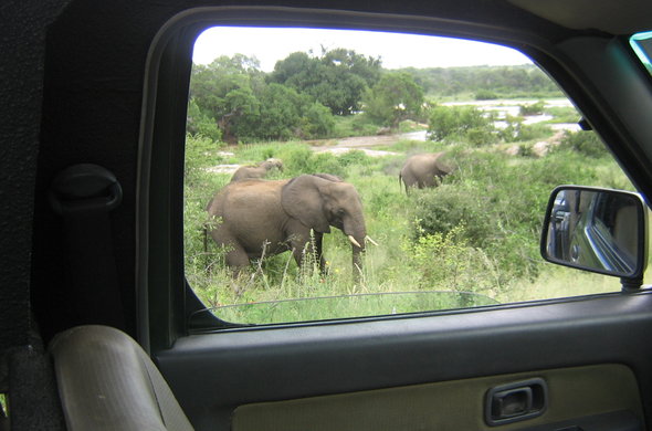 Self Drive Safari in Uganda